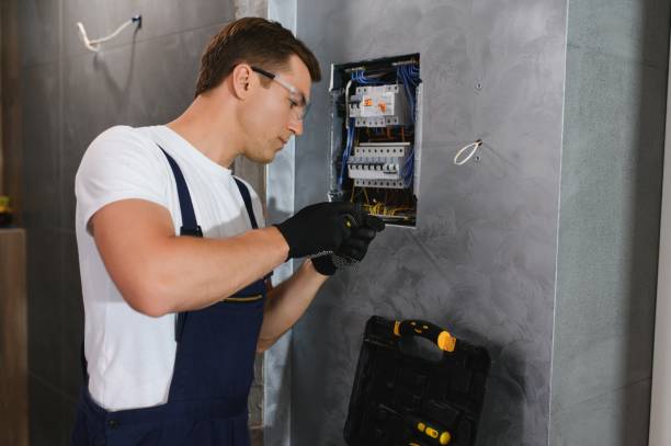 Best Electric Panel Repair  in USA